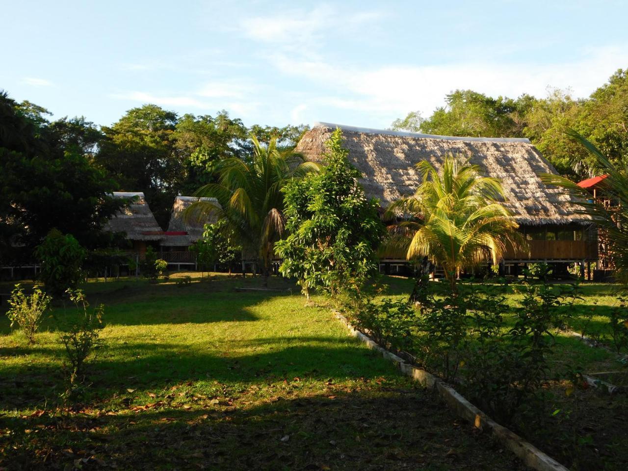 Intillama Jungle Lodge Eirl Paucarpata  外观 照片