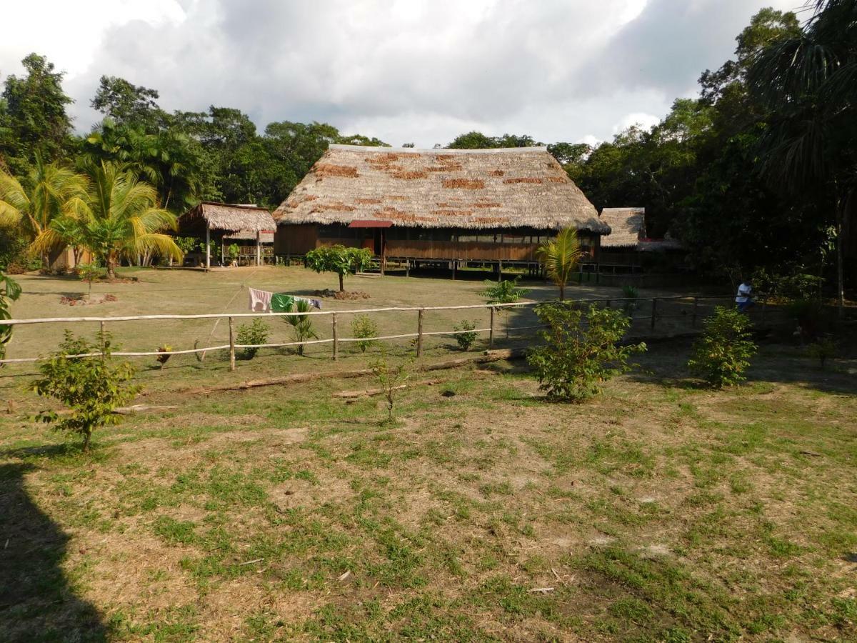 Intillama Jungle Lodge Eirl Paucarpata  外观 照片