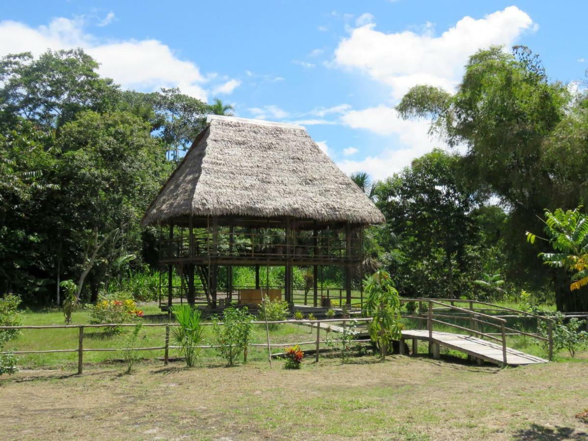 Intillama Jungle Lodge Eirl Paucarpata  外观 照片